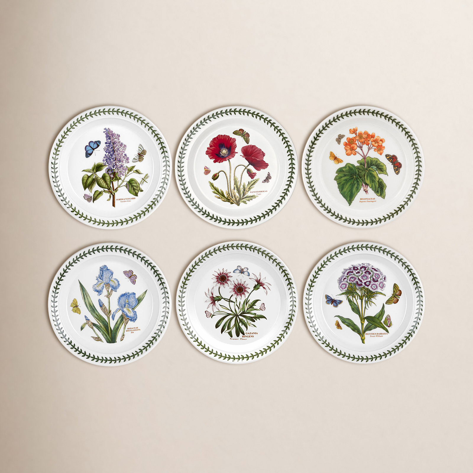 Portmeirion Botanic Garden 9" Salad Plate