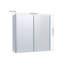 W H Medicine Cabinet Mirror