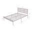 Lit Hoya-91069758-91069757