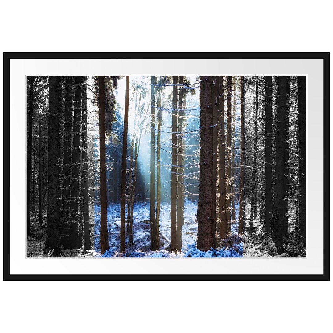 Gerahmtes Poster Sonne Winterwald