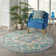Verda Oriental Indoor Rug