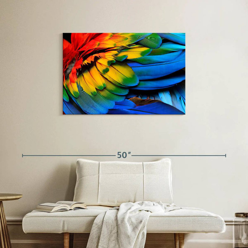 Brampt Macaw Bird Feathers, 24" H x 36" W