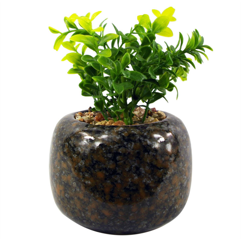 40.64cm Faux Crassula Plant in Pot