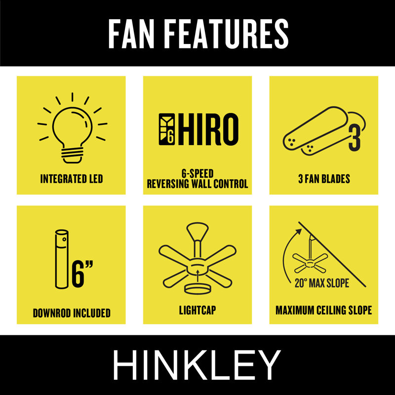 Hinkley Speck Ceiling Fan, Brass, Matte Black