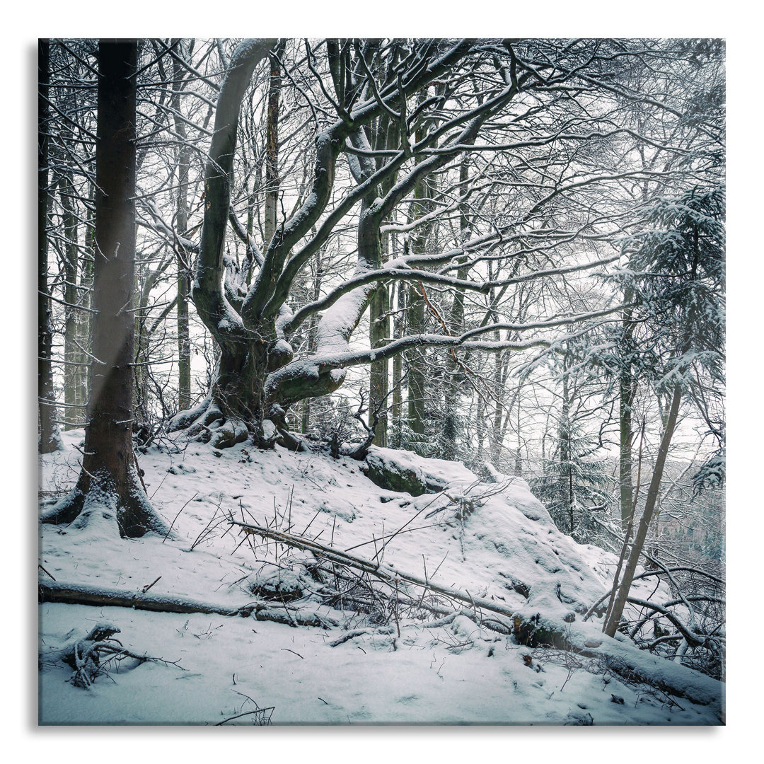 Glasbild Schneebedeckter Waldboden