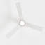 Ventilateur de plafond Vidalite Eminence