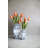 Well Versed Table Vase 1