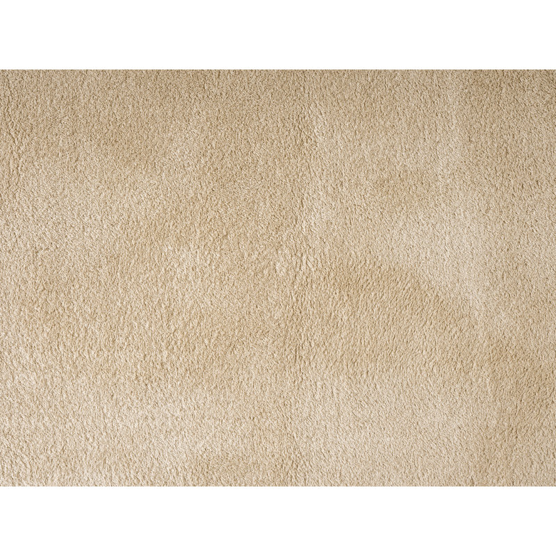 Taeler Washable Modern Living Room Rug Polyester Plain Indoor Area Rug with Low Pile - Anti-Slip Felt Backing SuperSoft Carpet Bedroom-Hallway, Light Beige