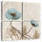 Blue Poppy X-ray-2139019429