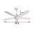 Ceiling Fan with LED Lights