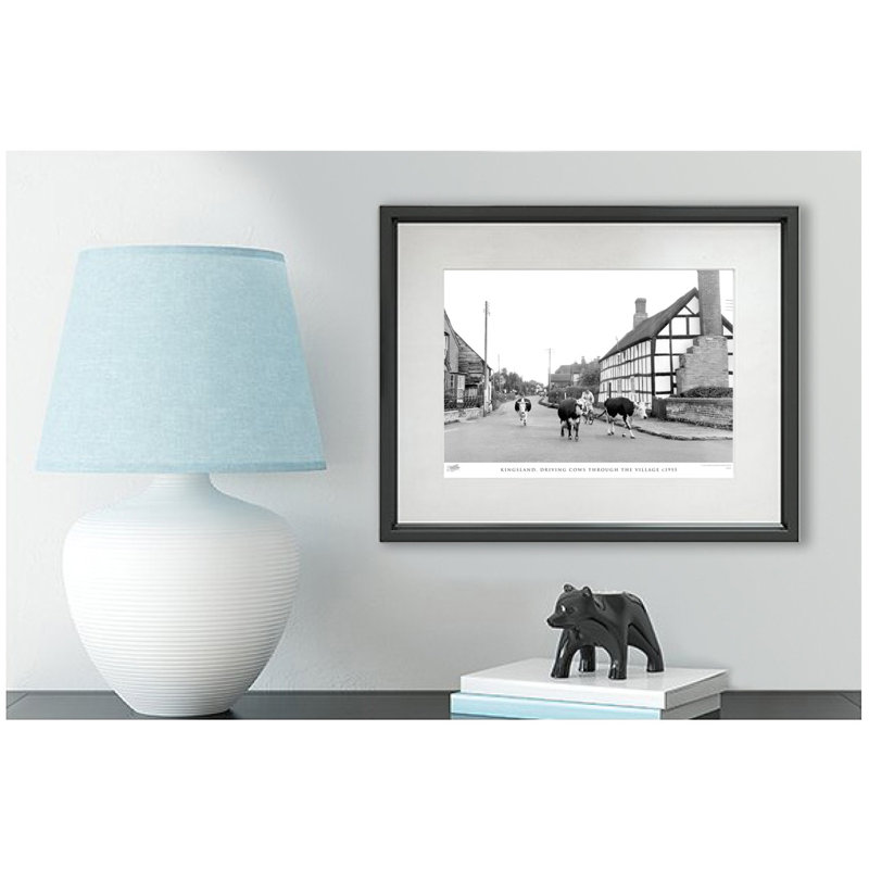 Kingsland, Driving Cows Through the Village C1955 1 Piece Single Picture Frame Wall Art, 60cm H x 80cm W x 2.3cm D