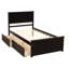 Lit plateforme avec lit gigogne simple, cadre simple, espresso-626972054-626972053
