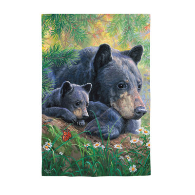 Maman et bébé ours dans le pré