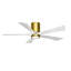 Irene Flushmount Light Kit 5 Blade LED Ceiling Fan-326228178-327028477-400726664
