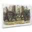 American Black Bears - Wrapped Canvas-55368550