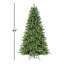 Sapin de Noël vert 7 'Gerlando