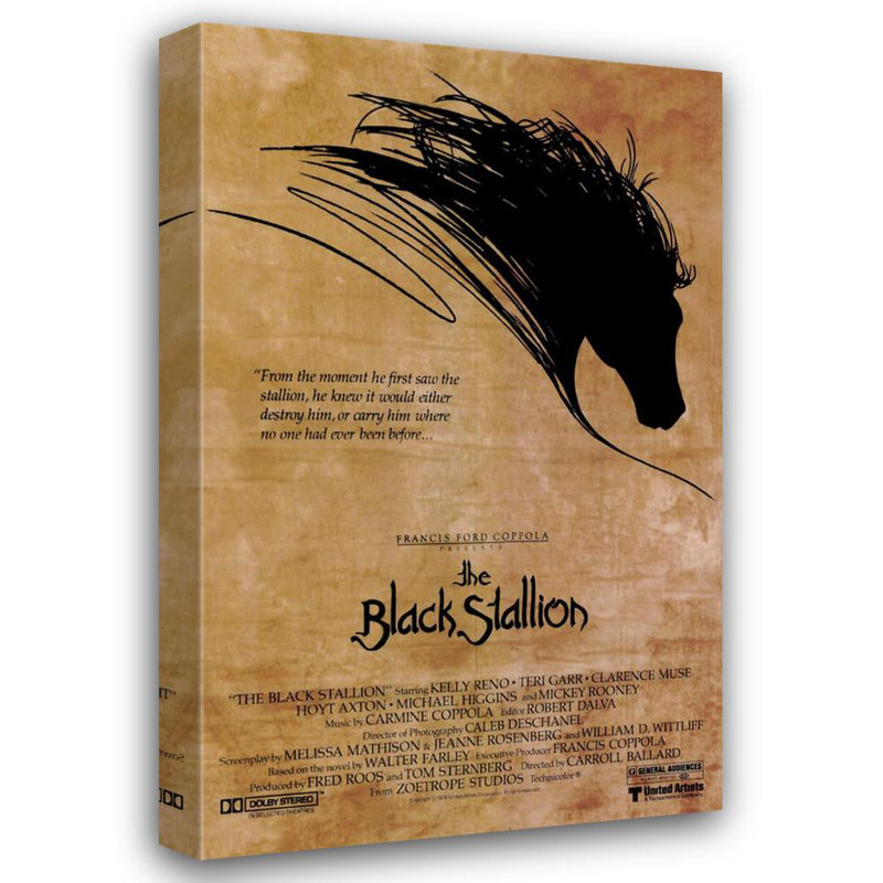 The Black Stallion, 18" H x 11" W