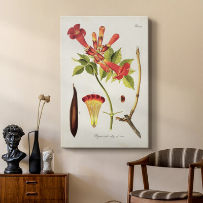 Fleurs tropicales de trompette I - galerie Cavas sur mesure