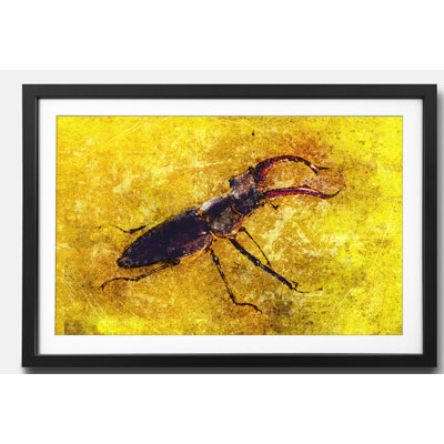 Naturdetails Stag Beetle - Single Picture Frame Print