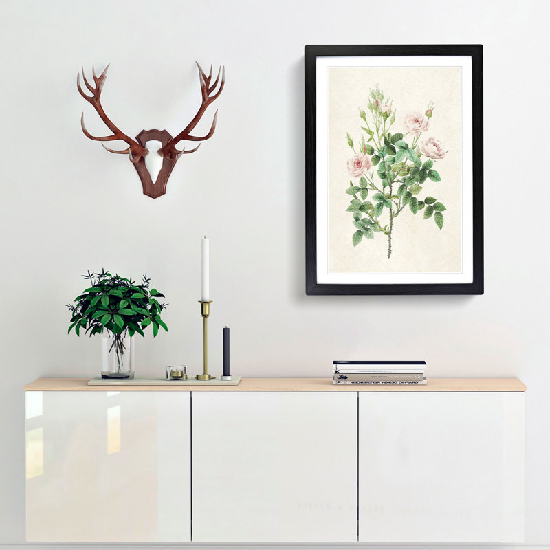 Pompon Roses by Pierre-Joseph Redoute - Framed Print, Black Framed, 36cm H x 27cm W x 2cm D