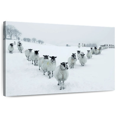 Mouton d'hiver Brampt
