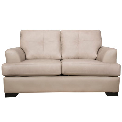 Dianne Upholstered 63'' Loveseat