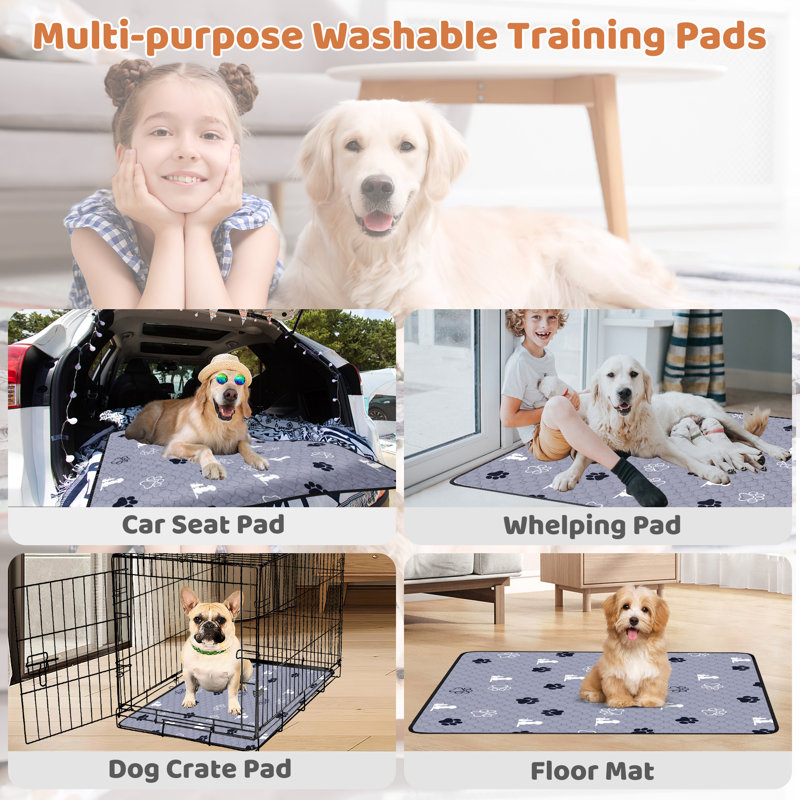 Coussinets de peluche lavables pour chiens, tapis de dressage pour animaux 72 po x 72 po avec laisse pour chien de L 60 po