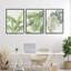 Ensemble de giclées encadrées 3 pièces, collection Tropical Leaves, design par Errico & Slyp-1987798322-1987798327
