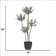 50'' Faux Succulent in Pot
