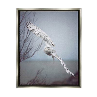 " Majestic Snowy Owl Flying Wingspan Wildlife " by Carrie Ann Grippo-Pike