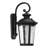 Coman Black 19"  LED outdoor wall light with Photocell sensor