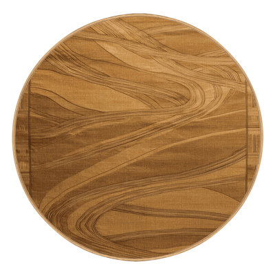 Machine Washable Art Deco Brown Area Rug