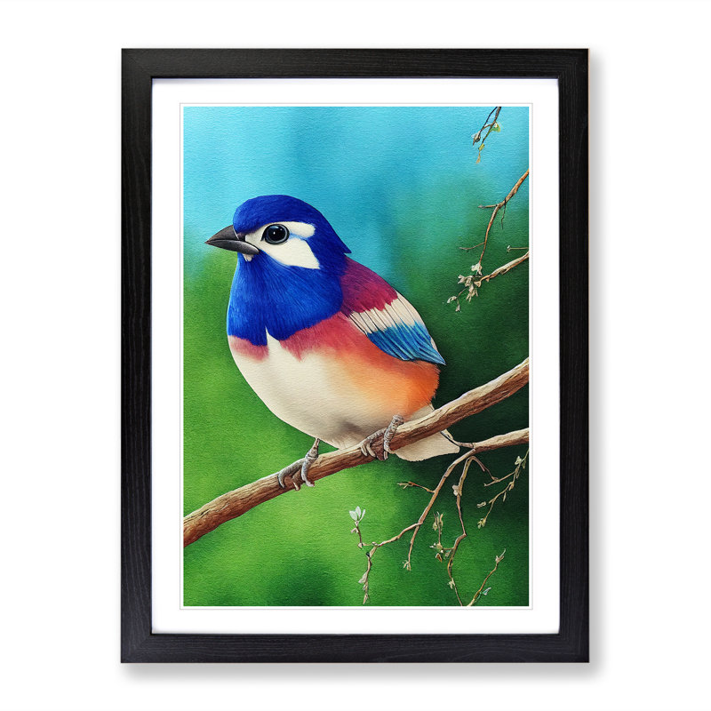 XV1022-5098X Watercolour Bird - Single Picture Frame Print, Black Framed, 64cm H x 46cm W
