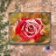Bloc de bois rose Gilligan-804974680