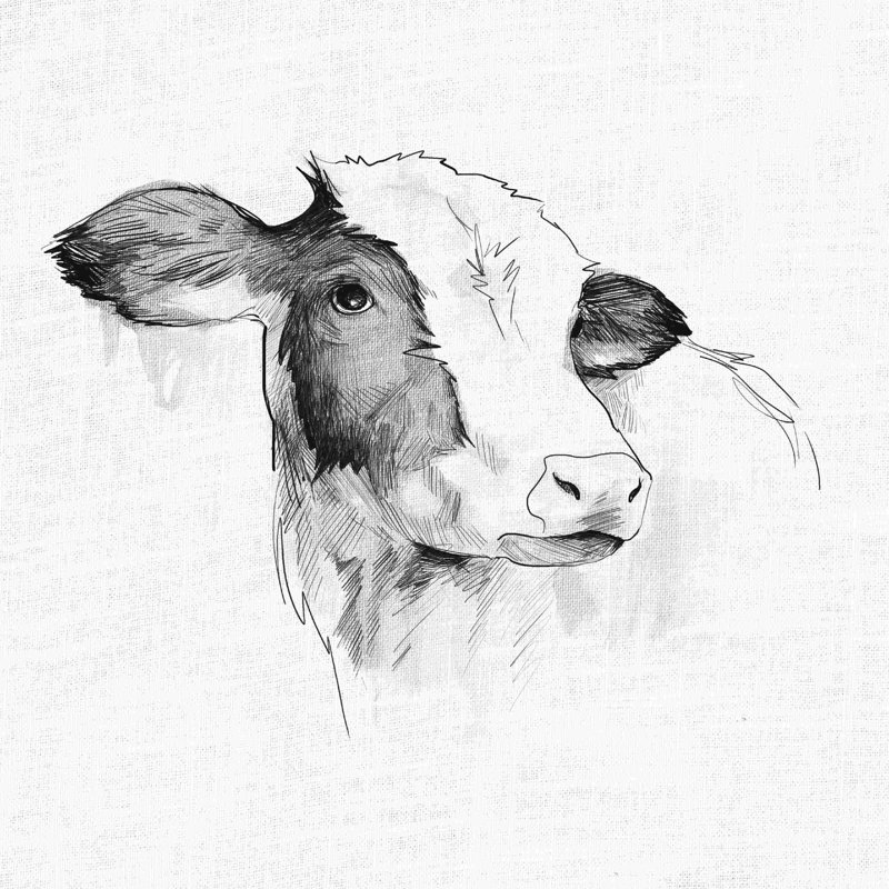 Dessin à l'encre de vache, H 12 po x l 12 po, Non, Toile tendue