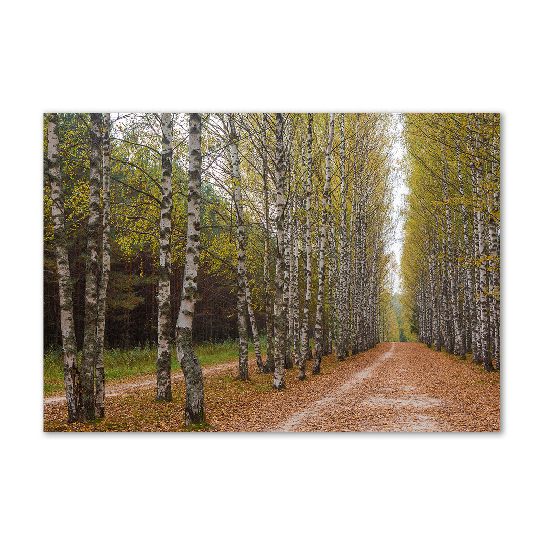 Avenue of Birches - Kunstdrucke auf Leinwand - Wrapped Canvas