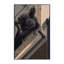 Tapis de brique doux et moelleux de couleur industrielle en brique Castle-343082695
