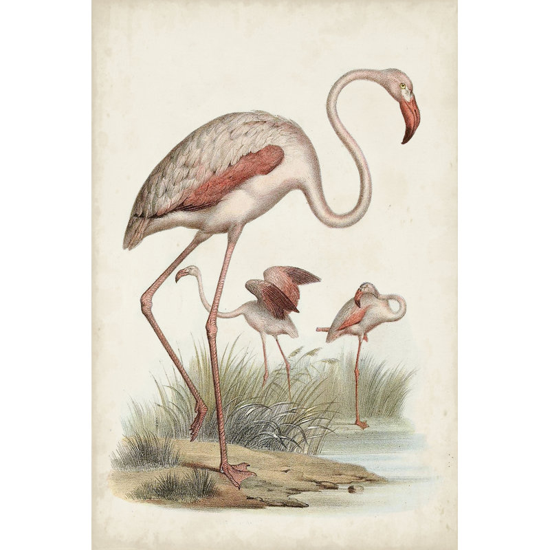 Oiseaux d'eau antiques IV - peinture sur toile tendue, H 12 po x l 8 po