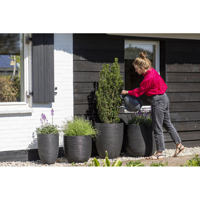Pot Planter, 34cm H x 35cm W x 34cm D, Black