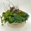 Conception succulente dans un vase en métal à piédestal circulaire doré