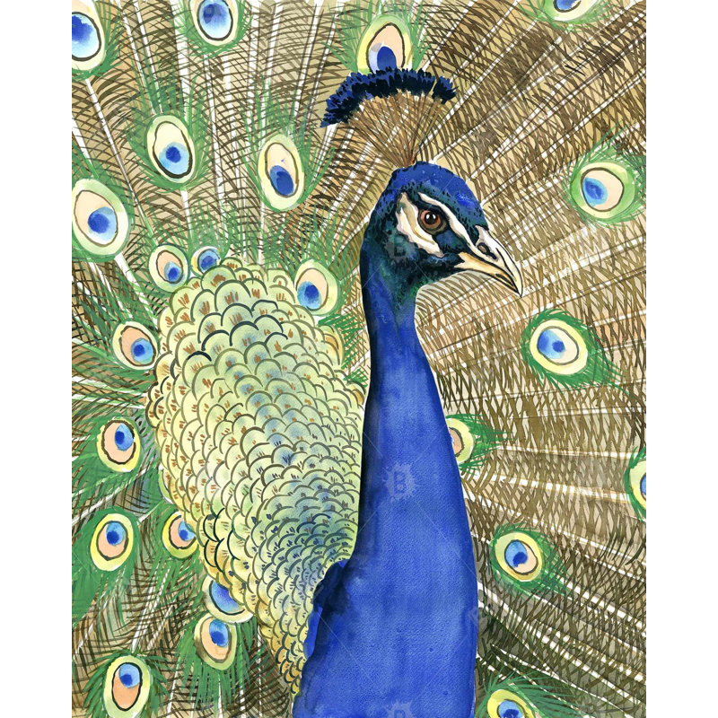 " Peacock "