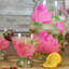 Pivoine 7 oz. Verre cosmos