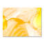 Dazzling Print-481056453-481056454
