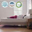 Matelas en mousse viscoélastique imprégnée de gel 10 po Lucid SureCool ™-1970058432-1899831905