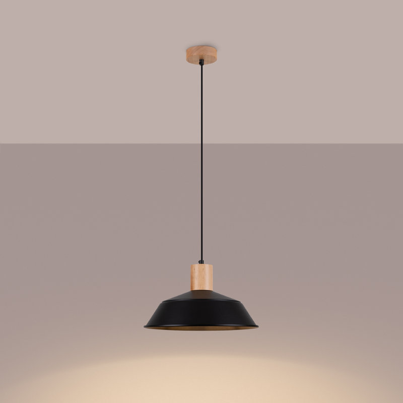 1 - Light Stainless Steel Pendant, Black