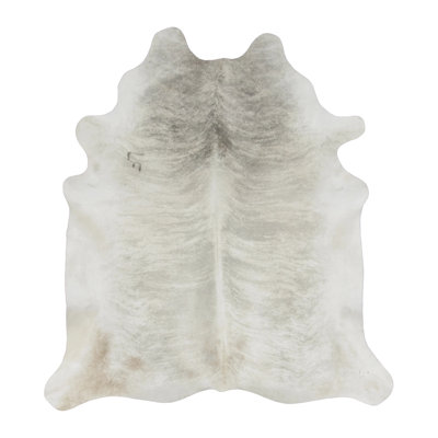 Modern Area Rug