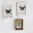 Ivory Embossed Picture Frame - Set of 2