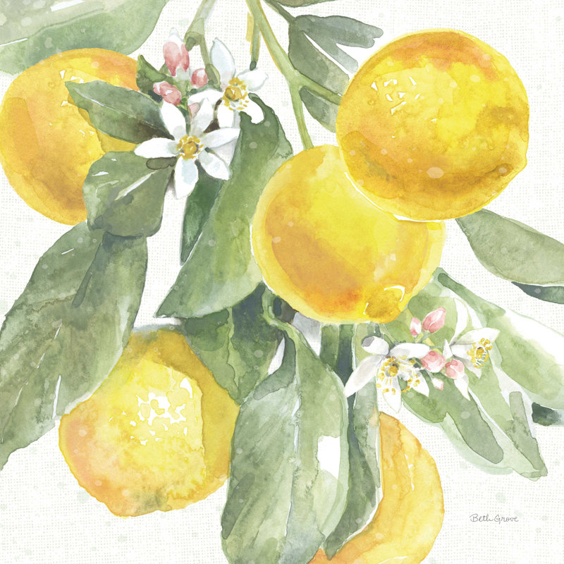 Citron charme citrons II, H 30 po x l 30 po x P 1,25 po