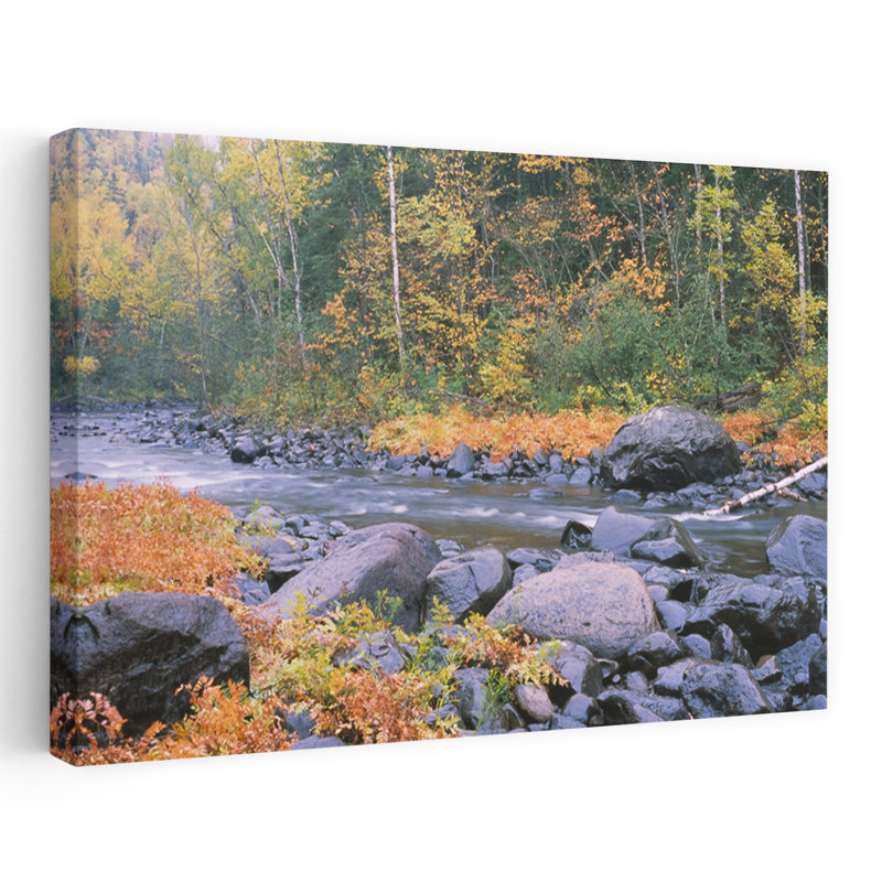 Rivière qui coule à travers une forêt, rivière Brule, juge C.R., parc d'État de Magney, Minnesota, États-Unis, art abstrait contemporain
