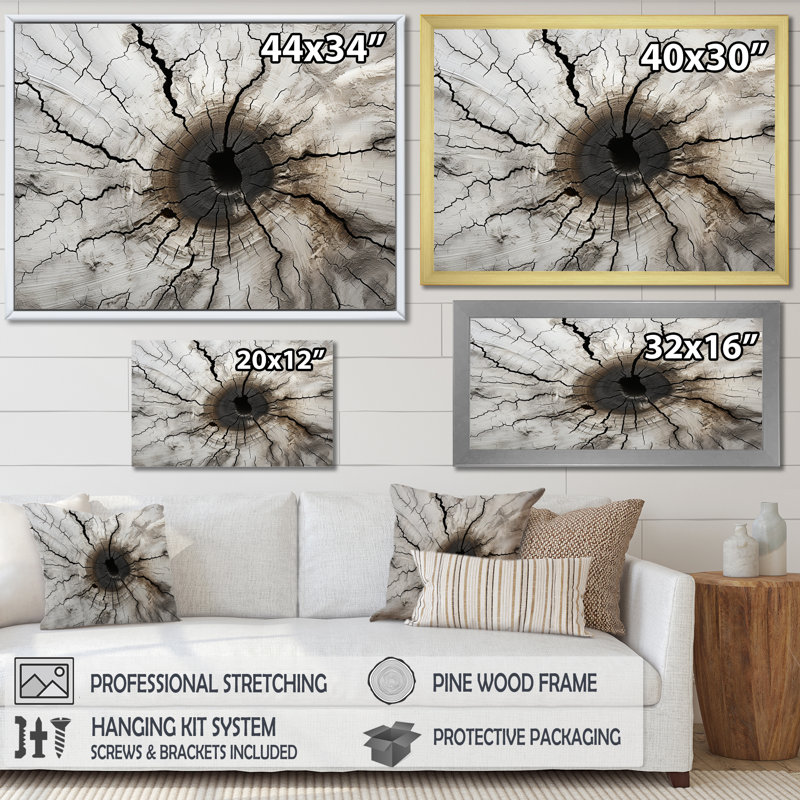 «Tree Cut Stump Beauty I», reproduction sur toile, H 16 po x l 32 po x P 1 po, Cadre flottant blanc